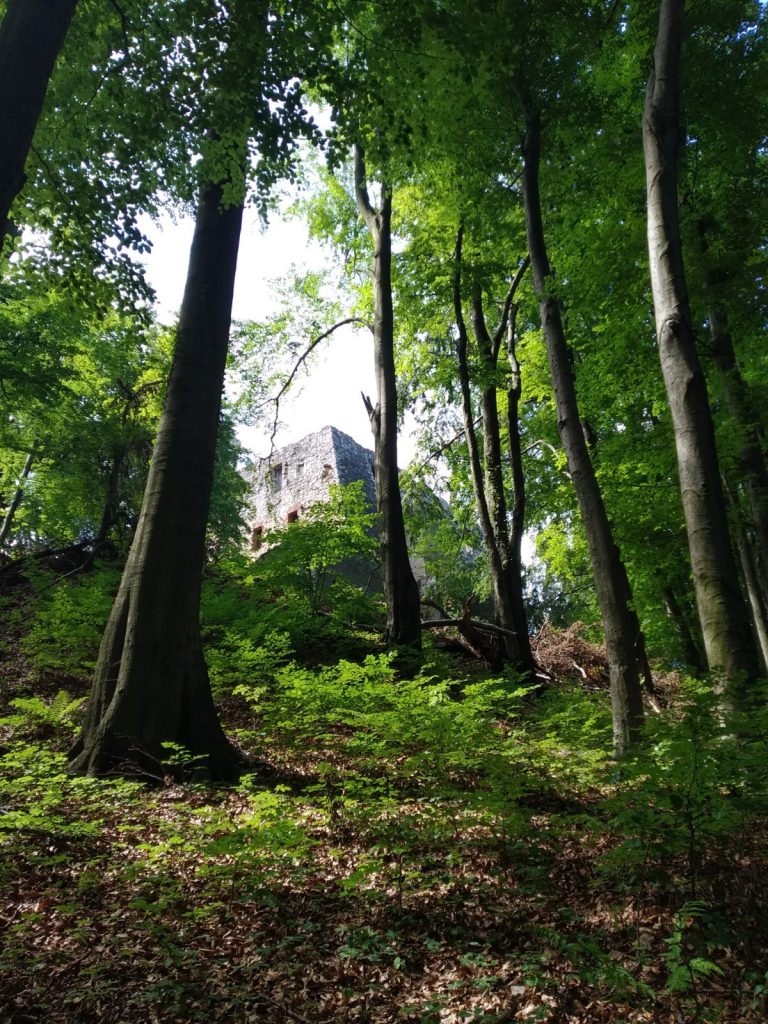 wzgórze zamkowe