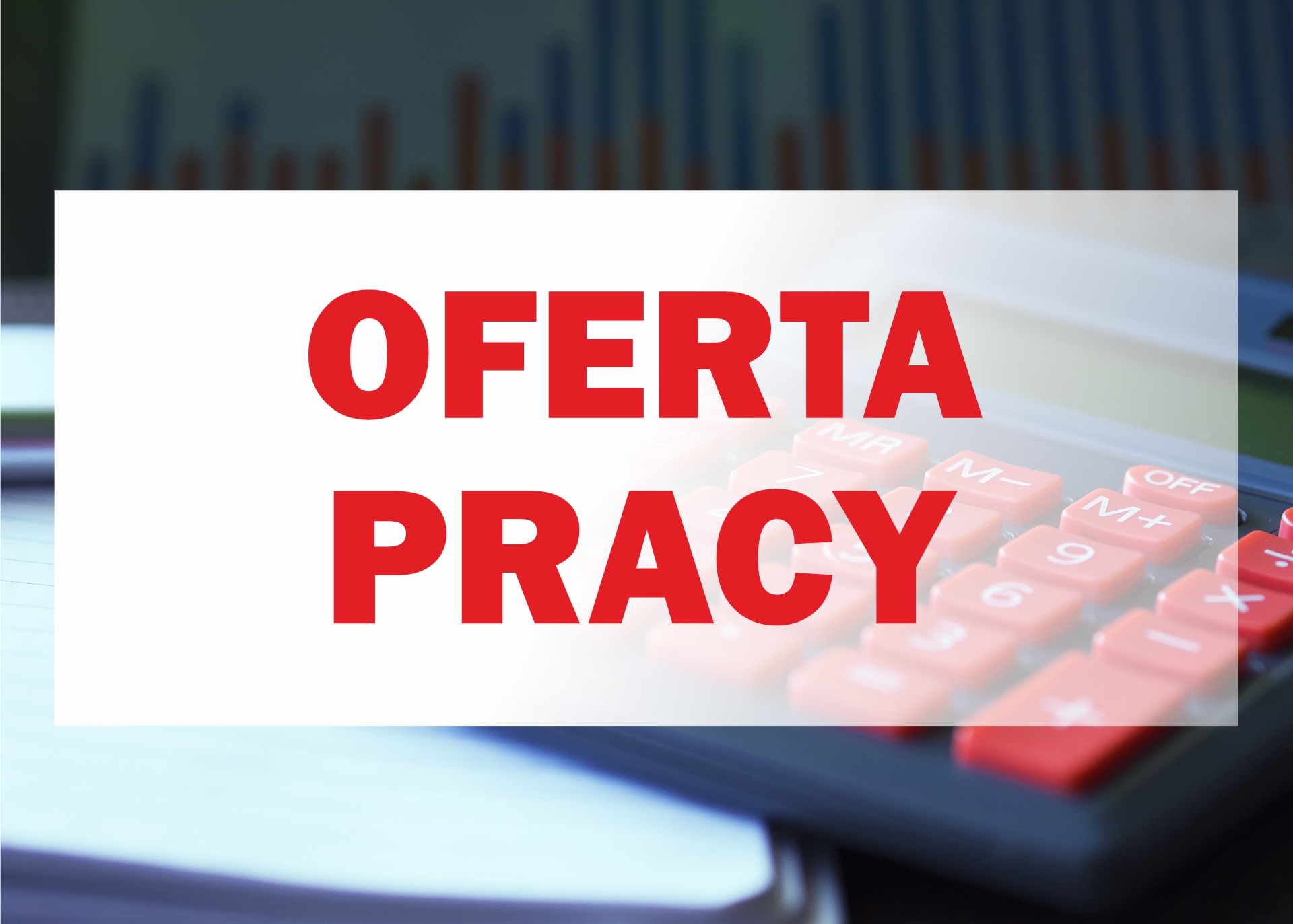oferta pracy