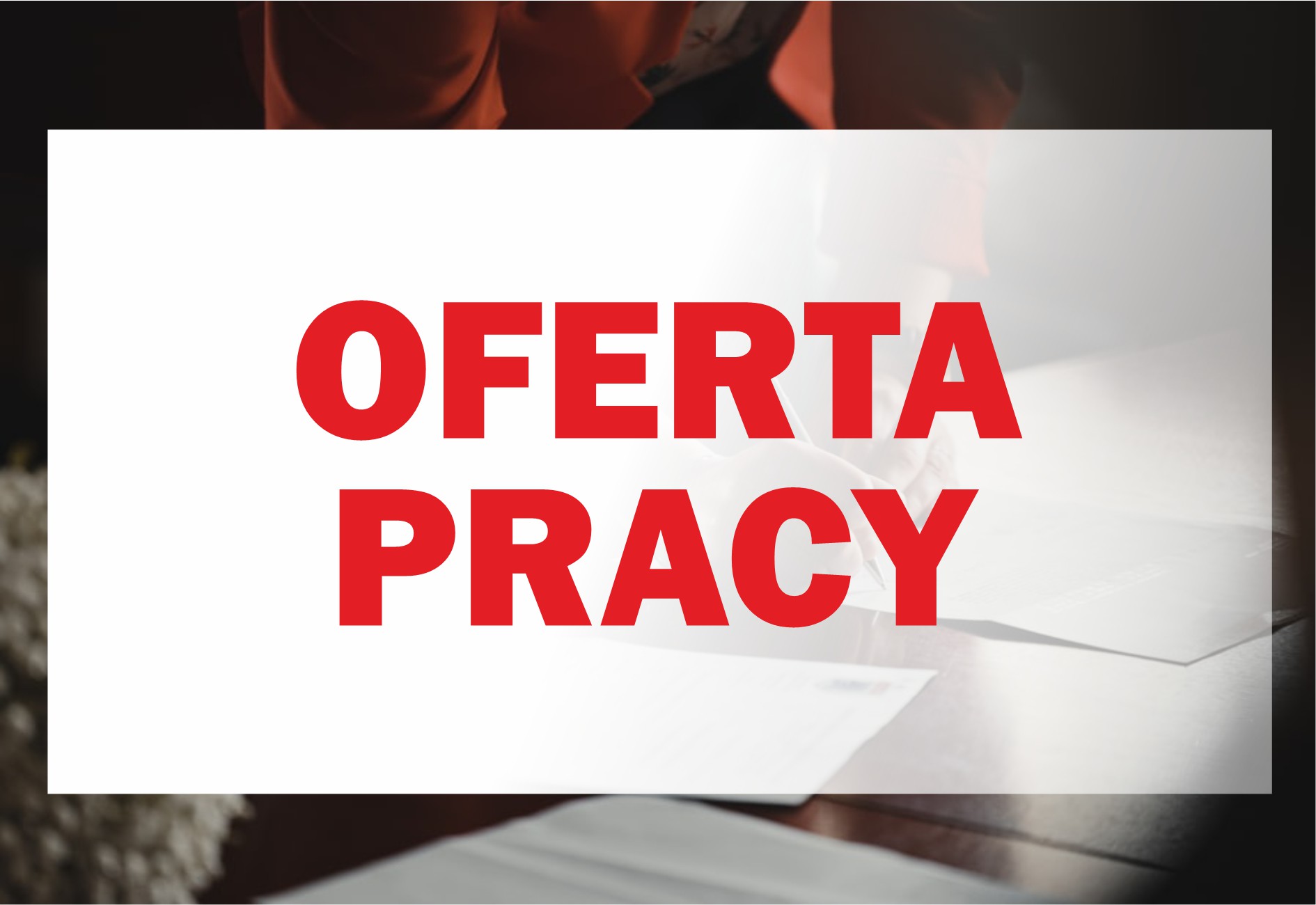 oferta pracy