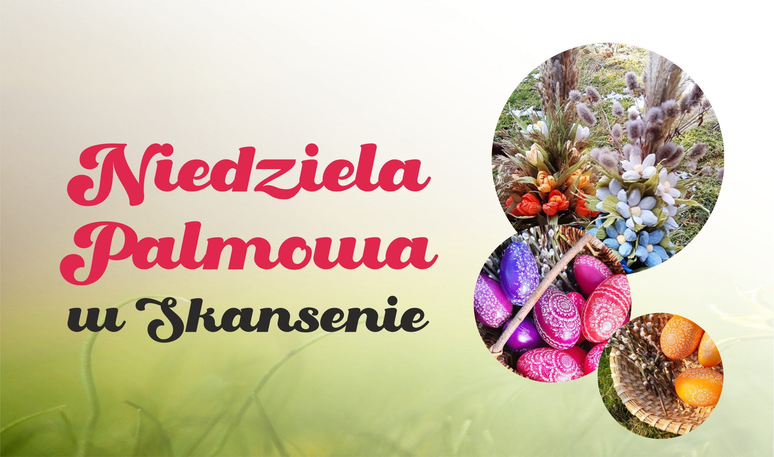 banner tytułowy
