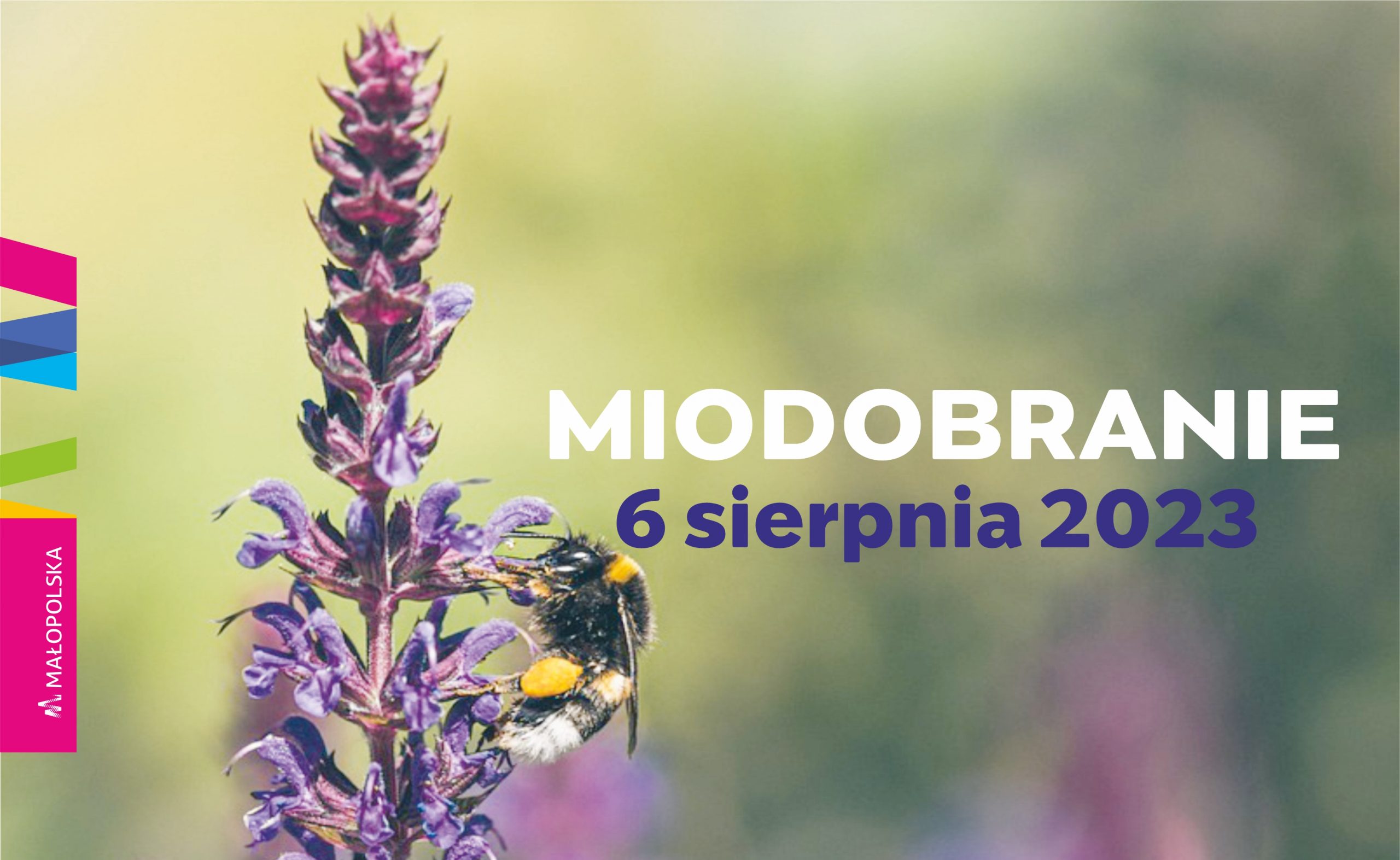 mapa bitowa miodobranie